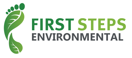 First Steps Environment
